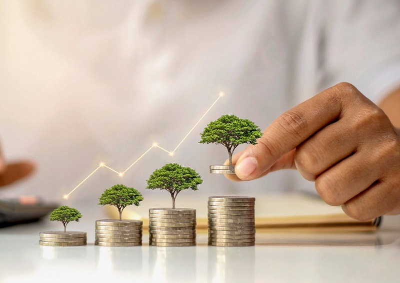 How Wealth Management Helps Families Turn Sudden Wealth Into Lasting Legacies