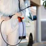 Critical Steps Homeowners Must Take Before Calling in Pest Control Experts