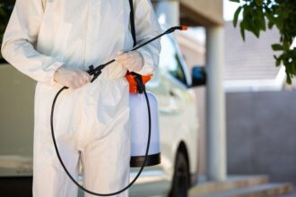 Critical Steps Homeowners Must Take Before Calling in Pest Control Experts