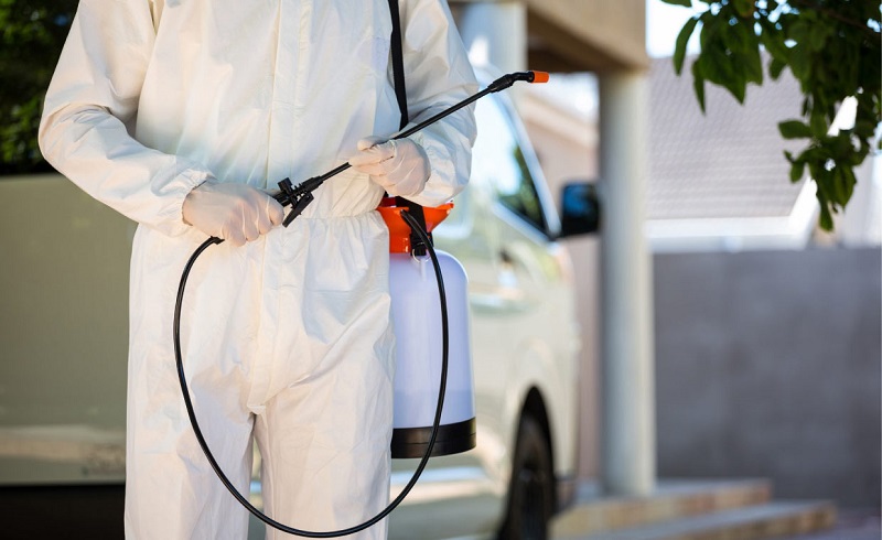 Critical Steps Homeowners Must Take Before Calling in Pest Control Experts