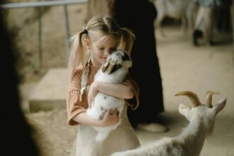 Important Lessons Parents Should Teach Children Before Attending Live Animal Encounter Programs