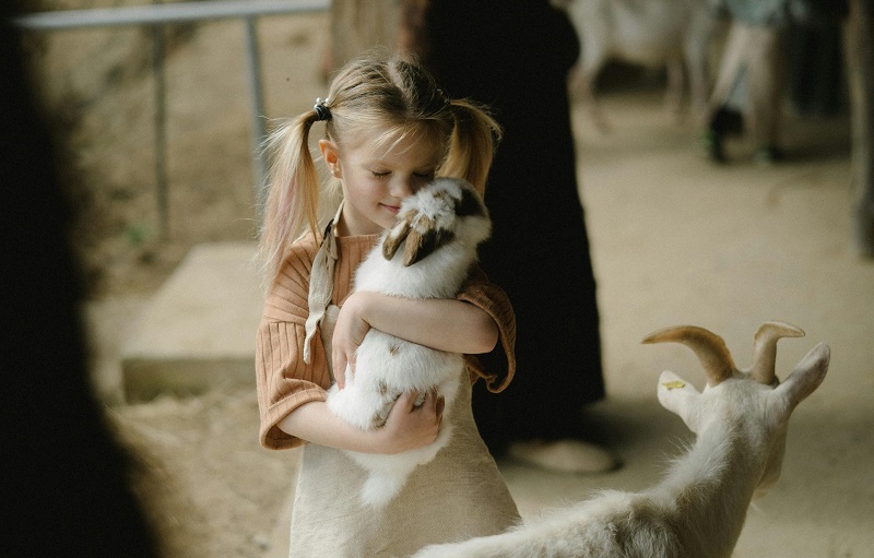 Important Lessons Parents Should Teach Children Before Attending Live Animal Encounter Programs